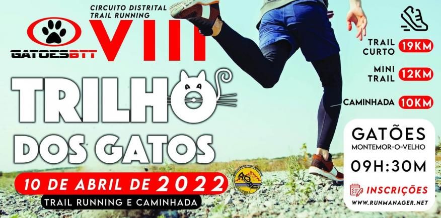 VIII TRILHO DOS GATOS